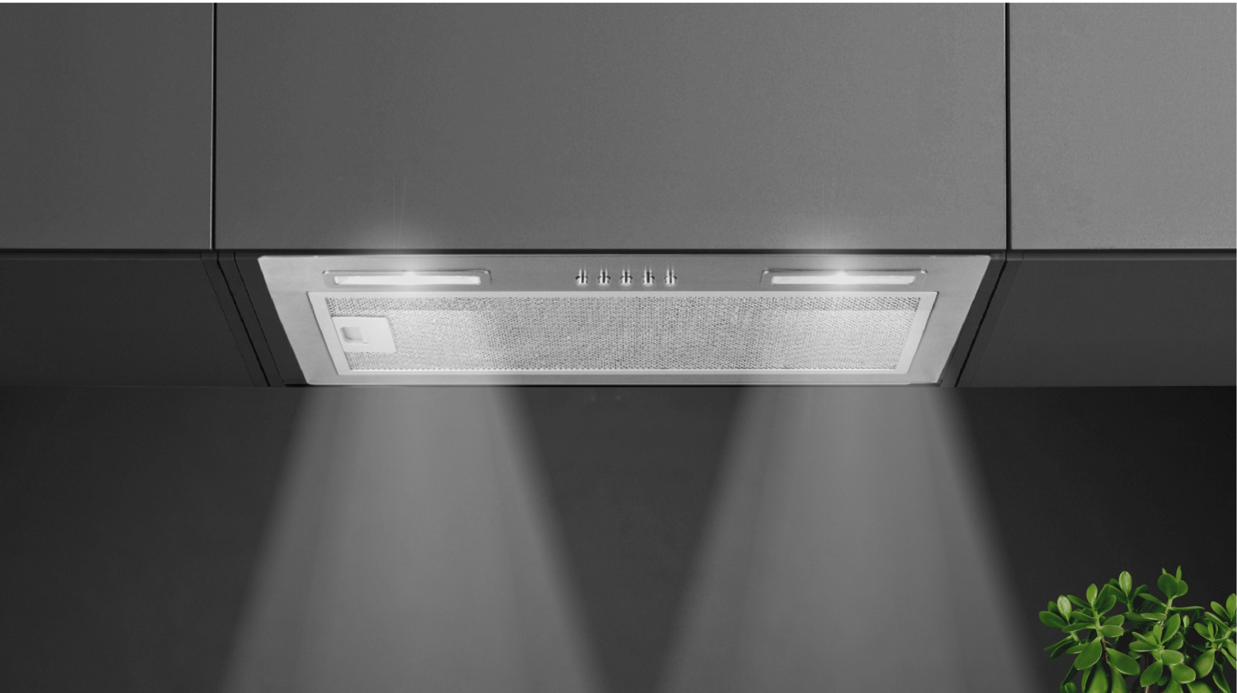 LED Light